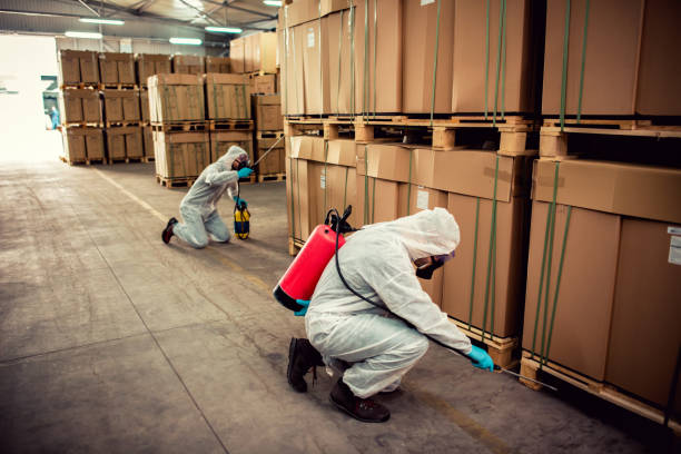 Best Pest Control Near Me in East Freehold, NJ