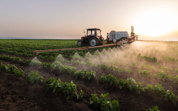 Pest Control Cost in East Freehold, NJ