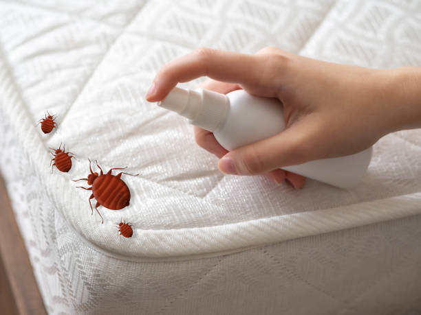 Best Residential Pest Control  in East Freehold, NJ